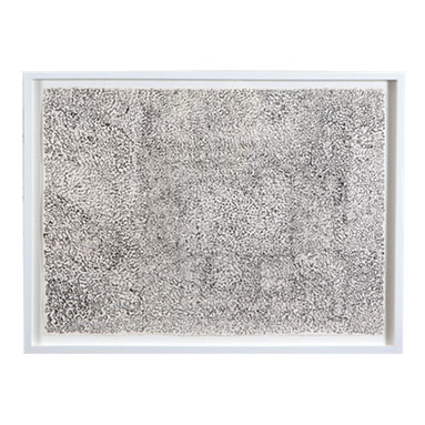 John Derian Art | ML Style | Meg Lonergan Interiors