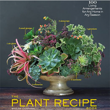 Plant Recipe Book | ML Style | Meg Lonergan Interiors