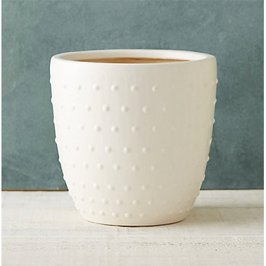 Hobnail Clay Pot | ML Style | Meg Lonergan Interiors