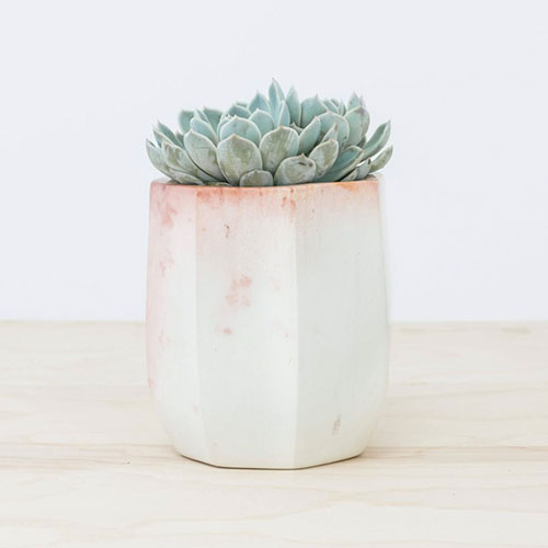 Nala Soapstone Planter | ML Style | Meg Lonergan Interiors