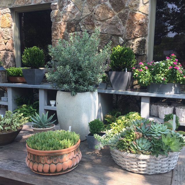 Best Design Stores in Houston Meg Lonergan