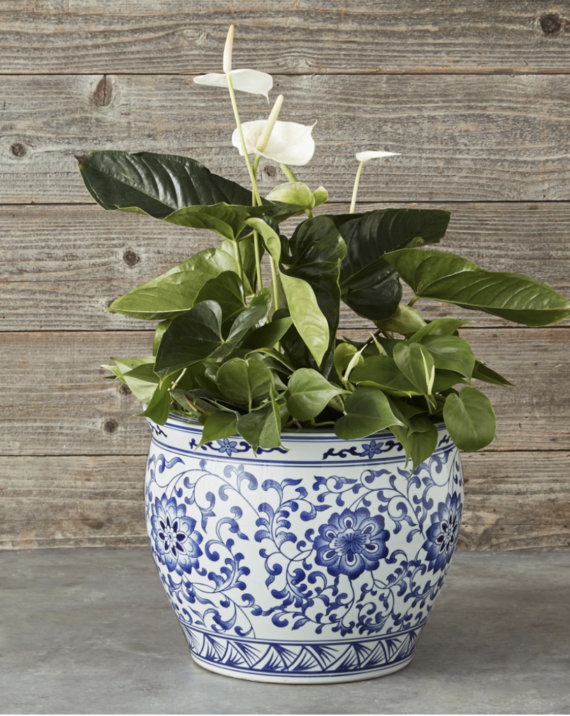 Williams Sonoma – Blue & White Ceramic Planter | ML Style | Meg Lonergan Interiors