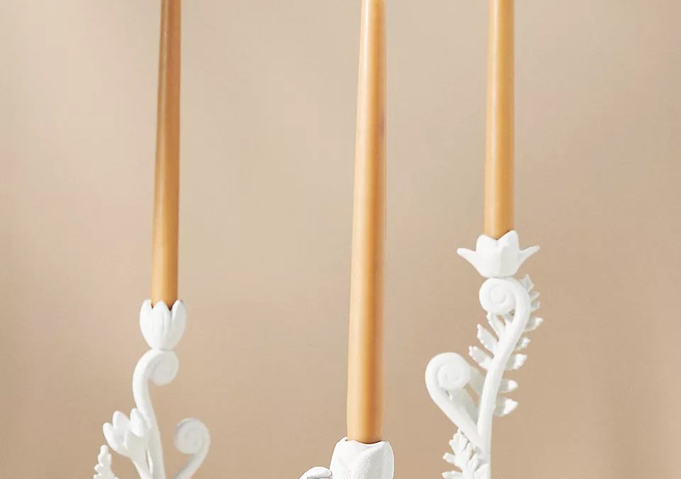 Anthropologie – Fiddlehead Fern Taper Candle Holder