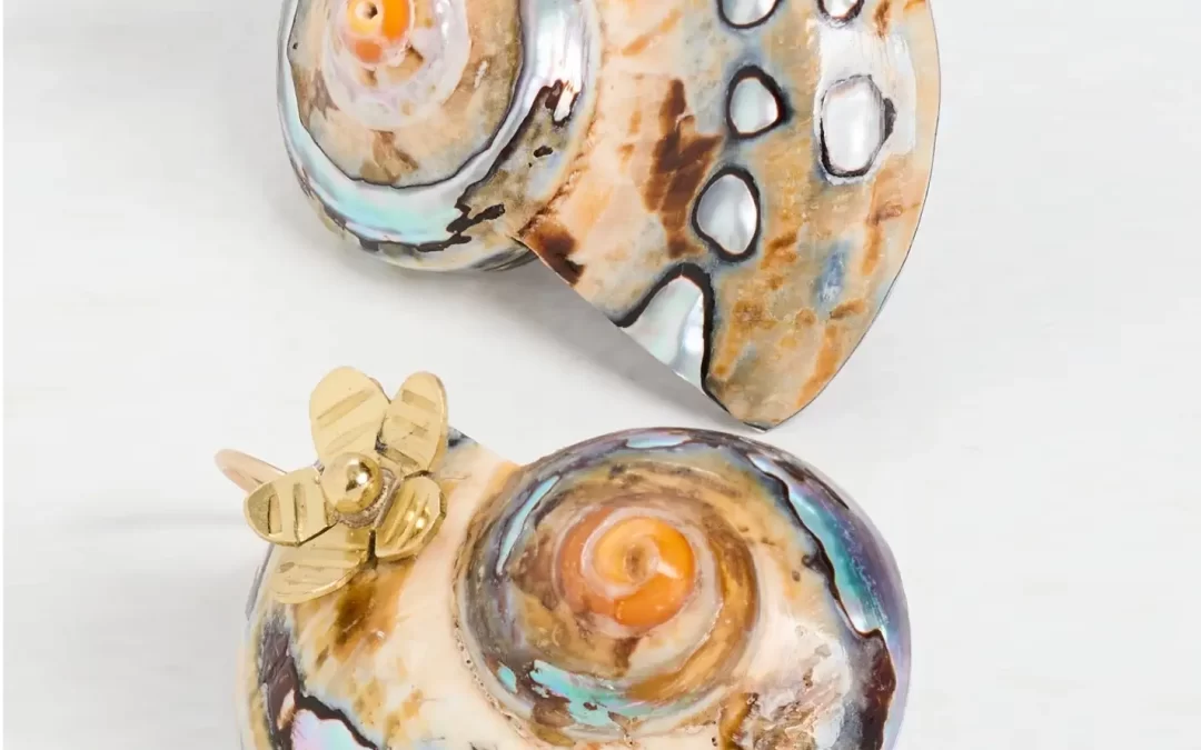 Ulla Johnson – Mini Spiral Shell Earring